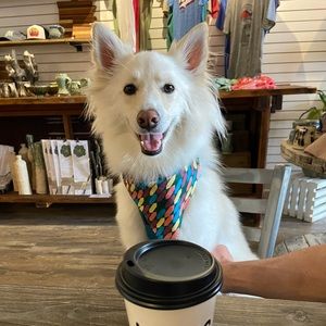 Meet your Posher, Johnsey